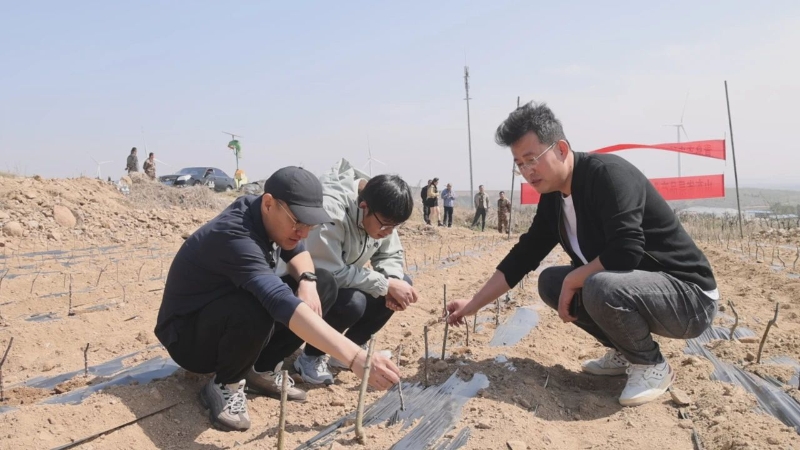 栖霞市官道镇:科技注入新动能 苹果产业迈向发展新征程